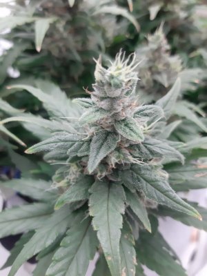 20230821_213236.jpg 20230821_213236.jpg