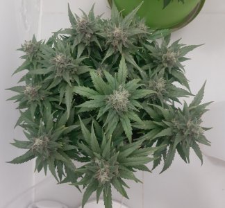 20230821_213658.jpg 20230821_213658.jpg