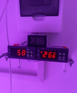 20230821_213923.jpg 20230821_213923.jpg