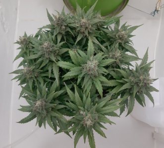 20230821_214339.jpg 20230821_214339.jpg