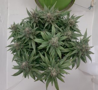 20230822_220435.jpg 20230822_220435.jpg