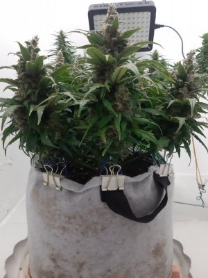 20230822_220454.jpg 20230822_220454.jpg