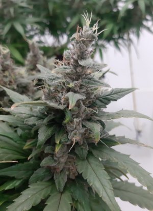 20230822_220613.jpg 20230822_220613.jpg