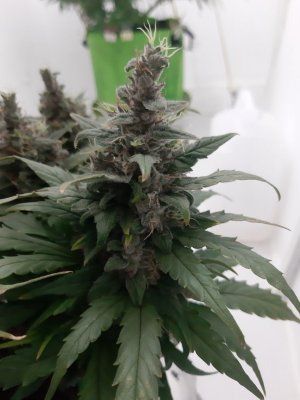 20230822_220822.jpg 20230822_220822.jpg