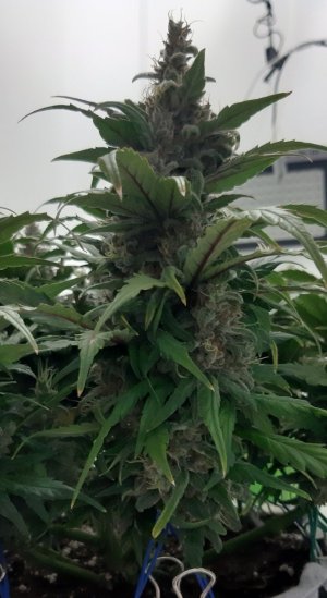 20230723_211118.jpg 20230723_211118.jpg