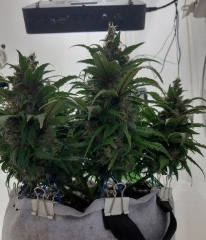 20230822_220752.jpg 20230822_220752.jpg