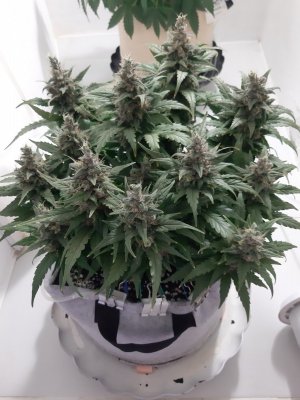 20230822_221253.jpg 20230822_221253.jpg