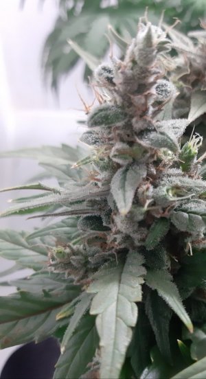 20230822_221334.jpg 20230822_221334.jpg