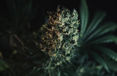 1692888984778.png 1692888984778.png