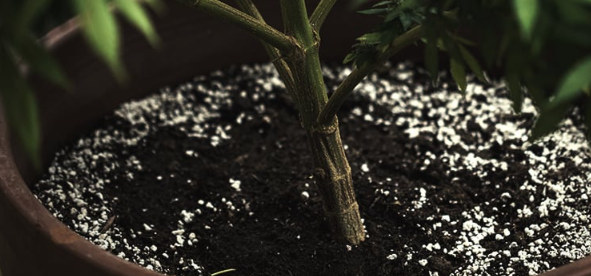 1692889053132.png 1692889053132.png