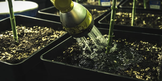 1692889129237.png 1692889129237.png