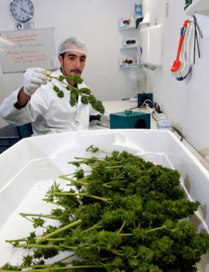 francofranc.png francofranc.png