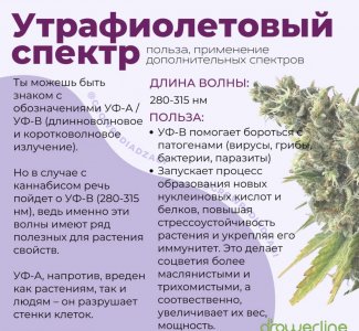 7C099E6C-0261-4524-860E-C772D1ED7BF1.jpeg 7C099E6C-0261-4524-860E-C772D1ED7BF1.jpeg