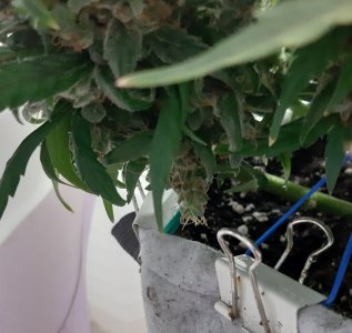 20230824_210748.jpg 20230824_210748.jpg