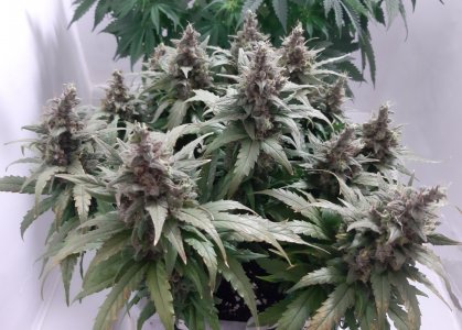 20230824_211129.jpg 20230824_211129.jpg