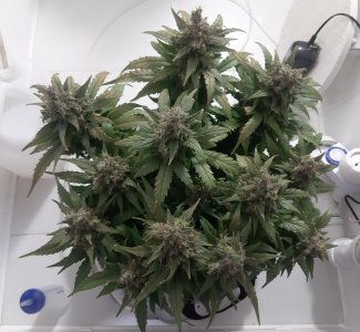 20230826_114806.jpg 20230826_114806.jpg