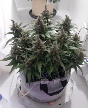 20230826_114752.jpg 20230826_114752.jpg