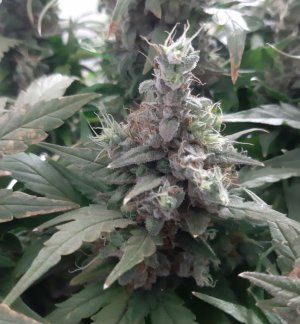 20230826_114713.jpg 20230826_114713.jpg