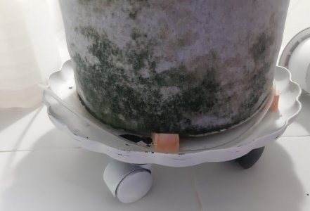 20230827_173524.jpg 20230827_173524.jpg