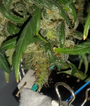 20230827_173346.jpg 20230827_173346.jpg