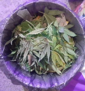 20230827_173305.jpg 20230827_173305.jpg