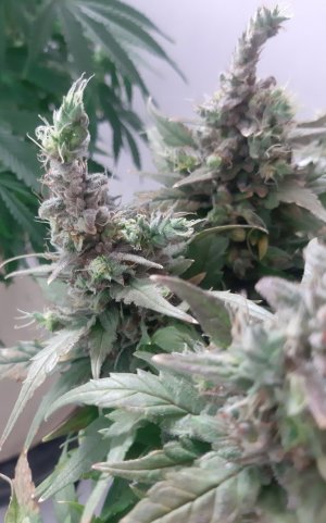 20230827_211135.jpg 20230827_211135.jpg