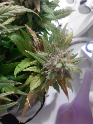 20230827_224624.jpg 20230827_224624.jpg