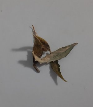 20230810_212118.jpg 20230810_212118.jpg