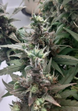 20230827_224648.jpg 20230827_224648.jpg