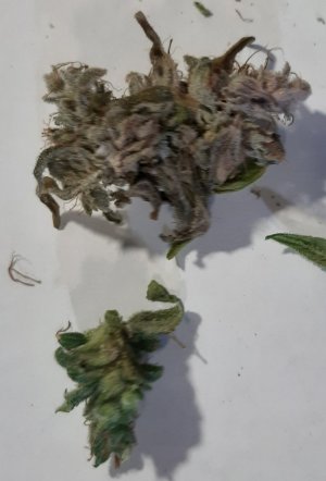 20230810_183959.jpg 20230810_183959.jpg