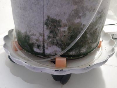 20230827_224241.jpg 20230827_224241.jpg