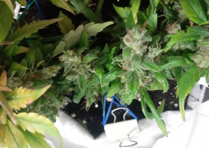 20230827_224153.jpg 20230827_224153.jpg