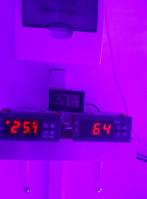 20230827_223958.jpg 20230827_223958.jpg