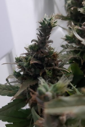 20230812_092757.jpg 20230812_092757.jpg