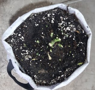 20230828_224354.jpg 20230828_224354.jpg