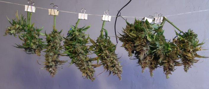 20230828_224413.jpg 20230828_224413.jpg