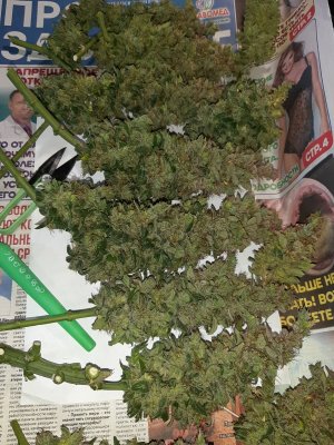 20230829_054812.jpg 20230829_054812.jpg