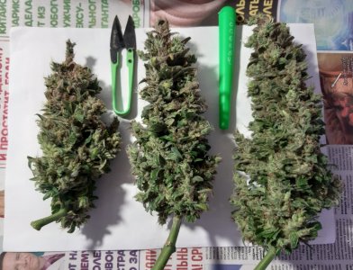 20230829_054601.jpg 20230829_054601.jpg