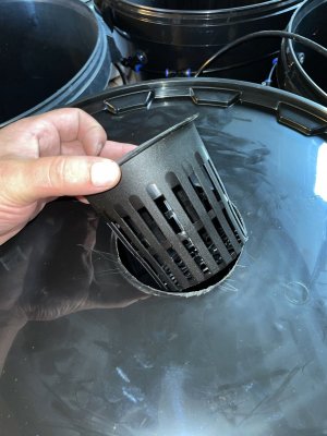 E66A8179-B207-4658-A6B8-1B9C8718C4E0.jpeg E66A8179-B207-4658-A6B8-1B9C8718C4E0.jpeg