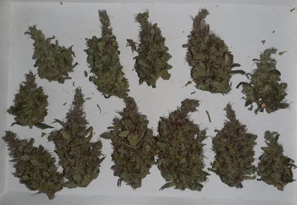 20230830_214417.jpg 20230830_214417.jpg