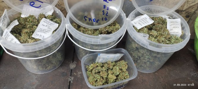 IMG_20230831_070031.jpg IMG_20230831_070031.jpg