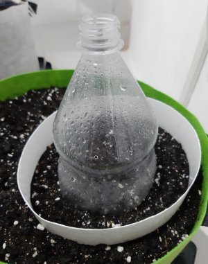 20230907_192405.jpg 20230907_192405.jpg