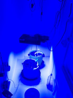 20230907_192528.jpg 20230907_192528.jpg