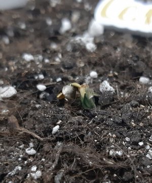 20230521_204042.jpg 20230521_204042.jpg