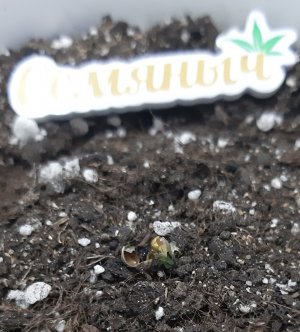 20230521_203935.jpg 20230521_203935.jpg