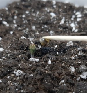 20230521_204111.jpg 20230521_204111.jpg