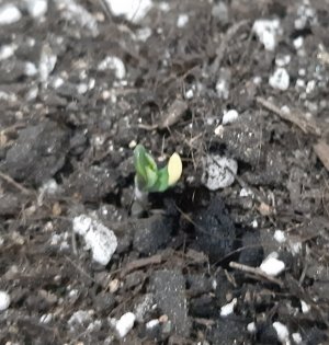 20230521_204506.jpg 20230521_204506.jpg