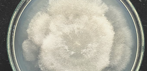 1694186249169.png 1694186249169.png