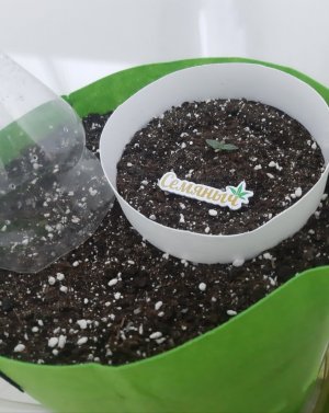 20230909_121705.jpg 20230909_121705.jpg