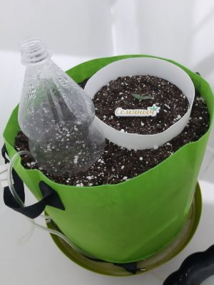 20230909_122305.jpg 20230909_122305.jpg